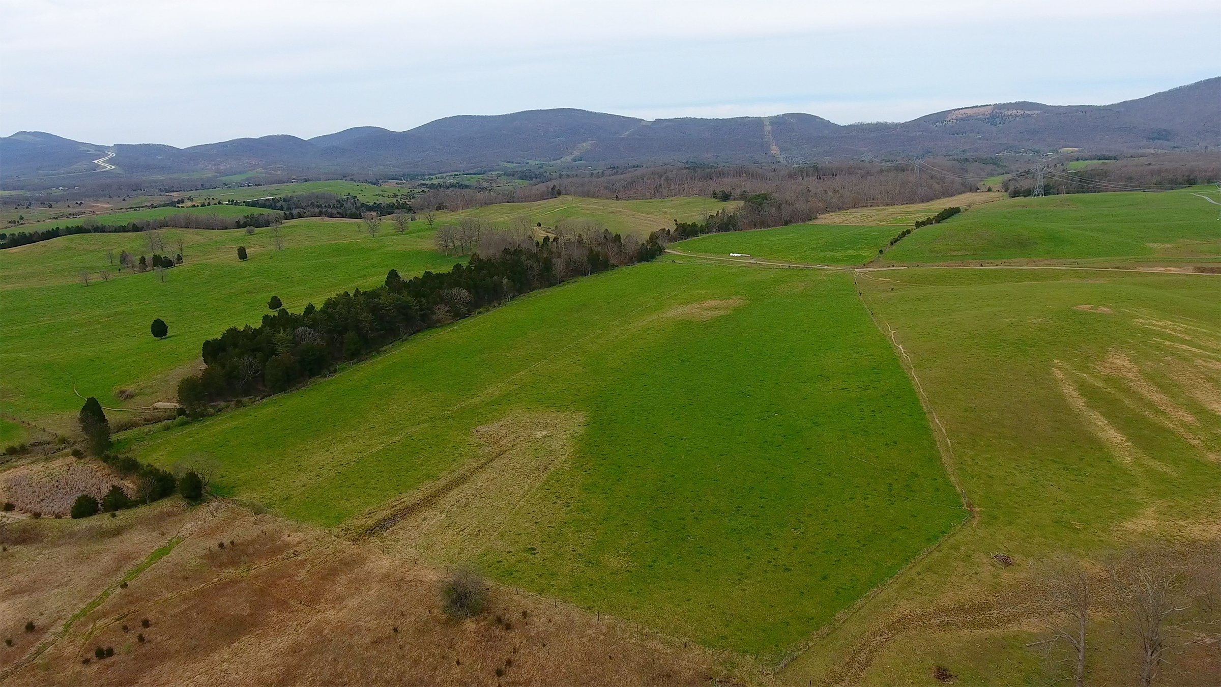 Property photo 15 - LAND AUCTION - 533+/- ACRES OFFERED IN 5 TRACTS IN HARDY COUNTY, WEST VIRGINIA